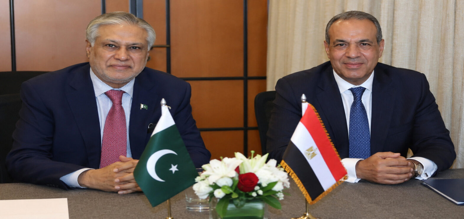Pakistan Egypt talks between Ishaq Dar and Badr Abdelatty